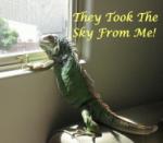 They took the Sky from Me!