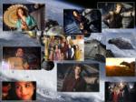 the crew of serenity