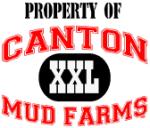 Are you a Mudder?  Then you should be in one of these!