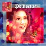 Poinsettia