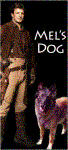Mel's Dog