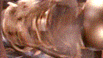 Firefly Engine