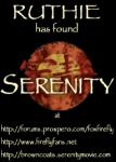 A Serenity Tee-Shirt for Cons and Shingigs.