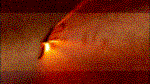Firefly Burn