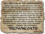 DECLARATION OF THE INDEPENDENTS - Shirt